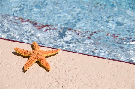 A colorful star fish sun bathing near a swimming pool on a bright sunny day Fotografie stock - Microstock e Abbonamento, Codice: 400-04032051