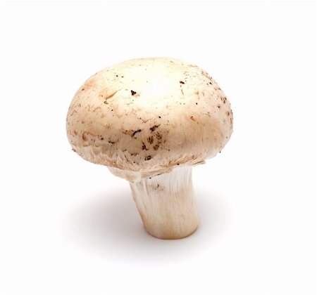 simsearch:400-07217319,k - One mushroom a champignon on a white background Stock Photo - Budget Royalty-Free & Subscription, Code: 400-04032707