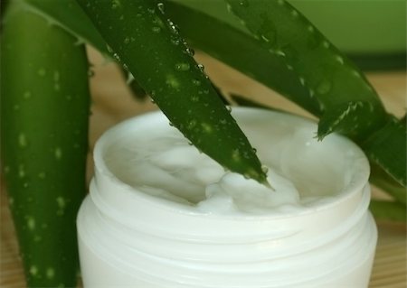 Cosmetics, the cream and the aloe Stock Photo - Budget Royalty-Free & Subscription, Code: 400-04033674