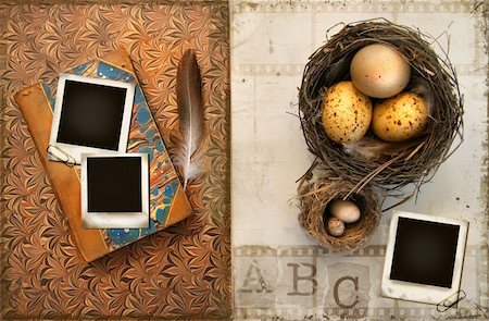 empty birds nest - Old books with bird nests on grunge background Stock Photo - Budget Royalty-Free & Subscription, Code: 400-04033716