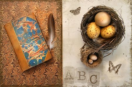 empty birds nest - Old books with bird nests on grunge background Stock Photo - Budget Royalty-Free & Subscription, Code: 400-04033717