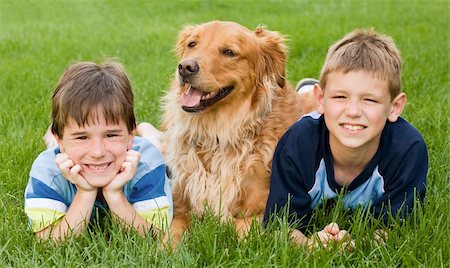 Two Little Boys and a Golden Retriever Stock Photo - Budget Royalty-Free & Subscription, Code: 400-04044775