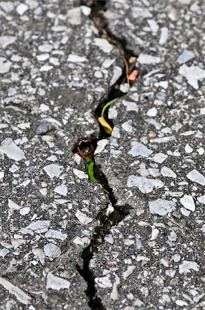 street crack - Crack in old asphalt pavement close up Stock Photo - Budget Royalty-Free & Subscription, Code: 400-04044798