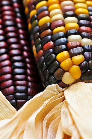 Two cobs of indian corn close up Photographie de stock - Aubaine LD & Abonnement, Code: 400-04044838