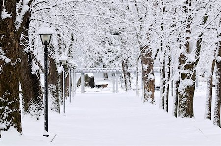simsearch:400-04800962,k - Lane in winter park with snow covered trees Stockbilder - Microstock & Abonnement, Bildnummer: 400-04044934