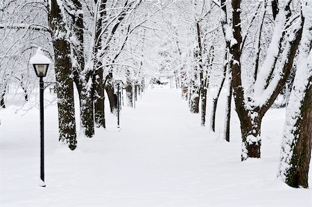 simsearch:400-04014691,k - Lane in winter park with snow covered trees Stock Photo - Budget Royalty-Free & Subscription, Code: 400-04044932