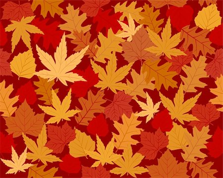 simsearch:400-05363894,k - Seamless vector wallpaper of maple, oak and beach leaves in autumn colors Foto de stock - Super Valor sin royalties y Suscripción, Código: 400-04046538