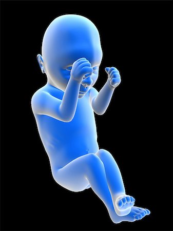 simsearch:400-06567245,k - 3d rendered illustration of a human fetus Stockbilder - Microstock & Abonnement, Bildnummer: 400-04048473