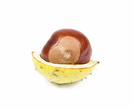Chestnut with yellow shell isolated on white Stock Photo - Budget Royalty-Free & Subscription, Code: 400-04049558