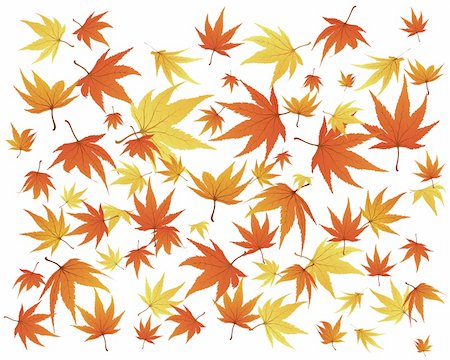 simsearch:400-06066227,k - Twisted row of autumn  maples leaves. Vector illustration. Stock Photo - Budget Royalty-Free & Subscription, Code: 400-04040906