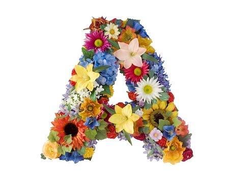 Letter A made of flowers isolated on white background Stockbilder - Microstock & Abonnement, Bildnummer: 400-04041484