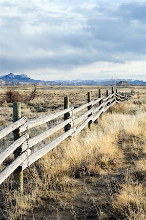sascha (artist) - rural fence running through barren Wyoming landscape Fotografie stock - Microstock e Abbonamento, Codice: 400-04042452