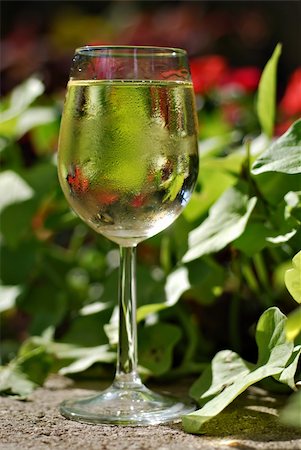 Glass of white wine set in a tropical garden Stock Photo - Budget Royalty-Free & Subscription, Code: 400-04042603