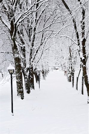 simsearch:400-04800962,k - Lane in winter park with snow covered trees Stockbilder - Microstock & Abonnement, Bildnummer: 400-04054981