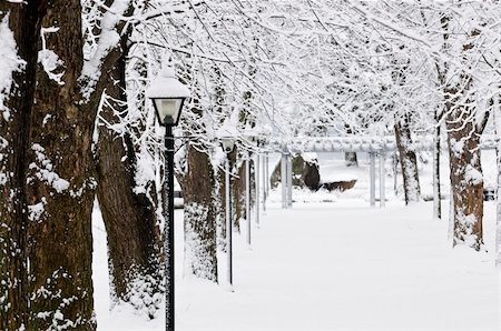 simsearch:400-04800962,k - Lane in winter park with snow covered trees Stockbilder - Microstock & Abonnement, Bildnummer: 400-04054983
