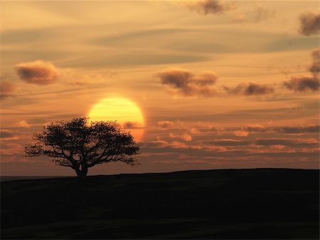 simsearch:400-05321504,k - Decline and tree. A red sunset in deserted district Stock Photo - Budget Royalty-Free & Subscription, Code: 400-04055910