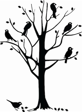 Vector illustration of a tree silhouette with several black birds perched on it. Stock Photo - Budget Royalty-Free & Subscription, Code: 400-04055974