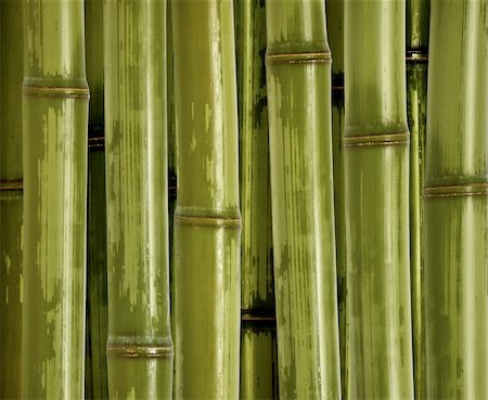 simsearch:400-05175967,k - fine closeup  image of green bamboo background Stock Photo - Budget Royalty-Free & Subscription, Code: 400-04056417