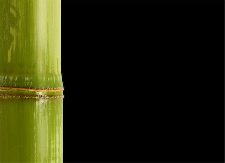 simsearch:400-05175967,k - fine image closeup of bamboo with space for text Stock Photo - Budget Royalty-Free & Subscription, Code: 400-04056419