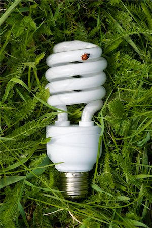 simsearch:400-07464142,k - energy saving light bulb on grass with an environmental theme Foto de stock - Super Valor sin royalties y Suscripción, Código: 400-04057567