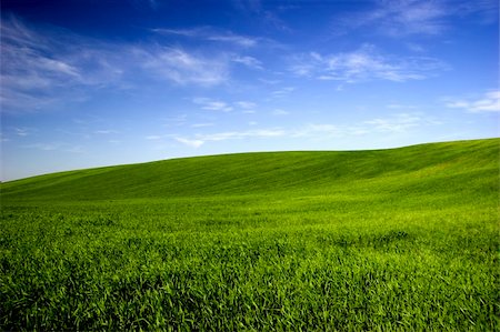 simsearch:400-06143114,k - Beautiful green meadow with a bright blue sky Fotografie stock - Microstock e Abbonamento, Codice: 400-04057726