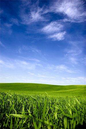 simsearch:400-06143114,k - Beautiful green meadow with a bright blue sky Fotografie stock - Microstock e Abbonamento, Codice: 400-04057731
