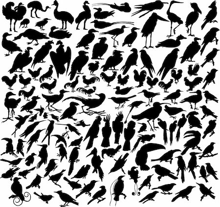 Vector illustrations black silhouettes birds on white Photographie de stock - Aubaine LD & Abonnement, Code: 400-04057986