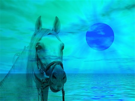 simsearch:400-05262358,k - Horse portrait on a colorful sunset landscape Stock Photo - Budget Royalty-Free & Subscription, Code: 400-04058016