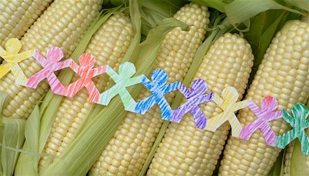 Conceptual image of paper people of many colors  hand colored with crayons, connected, over fresh corn. Stock Photo - Budget Royalty-Free & Subscription, Code: 400-04058411
