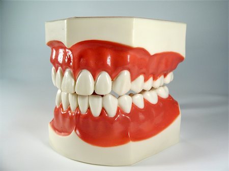 foot in mouth - teeth model,plastic dental teeth model ,chattering teeth,mold of a full set of human teeth Stock Photo - Budget Royalty-Free & Subscription, Code: 400-04059036