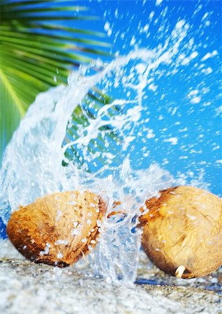 view of coconut getting cracked against shore boulder Stock Photo - Budget Royalty-Free & Subscription, Code: 400-04059357