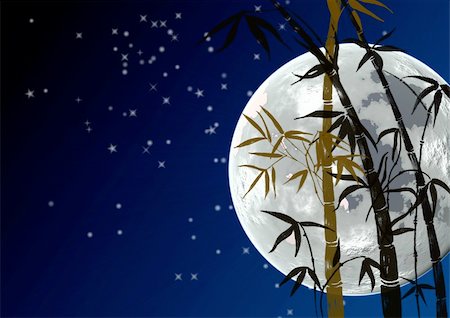 Branches of a bamboo on a background of light of the moon Stock Photo - Budget Royalty-Free & Subscription, Code: 400-04059690