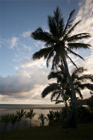 simsearch:400-04651436,k - Tropical Sunset with Palm Trees and clouds. Photographie de stock - Aubaine LD & Abonnement, Code: 400-04050649