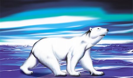 simsearch:400-05361275,k - Polar White Bear enjoys beautiful northern lights Foto de stock - Super Valor sin royalties y Suscripción, Código: 400-04051559