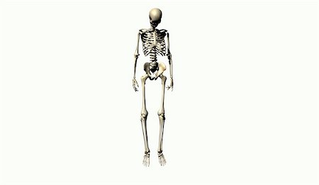 simsearch:400-05311566,k - 3D illustration of skeleton on a white background Stockbilder - Microstock & Abonnement, Bildnummer: 400-04051863