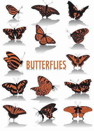 Two-tone vector silhouettes of butterflies, part of a new collection of subjects Stock Photo - Budget Royalty-Free & Subscription, Code: 400-04052282