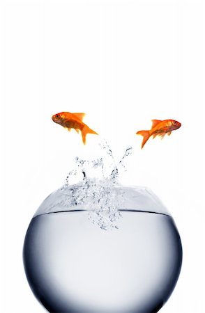 goldfish jumping out of the water Stock Photo - Budget Royalty-Free & Subscription, Code: 400-04052857