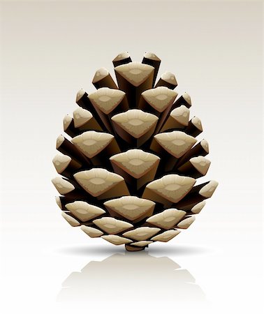 pine tree one not snow not people - single pine tree cone isolated vector illustration Stock Photo - Budget Royalty-Free & Subscription, Code: 400-04053321