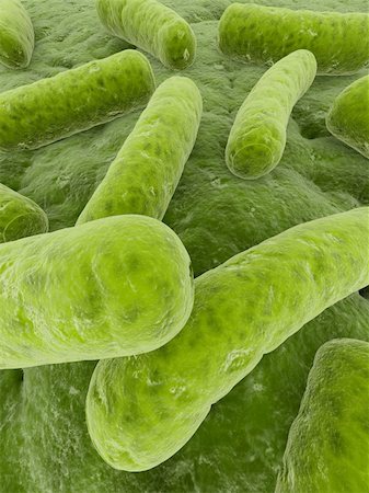 simsearch:400-04680612,k - 3d rendered close up of some isolated bacteria Fotografie stock - Microstock e Abbonamento, Codice: 400-04053403