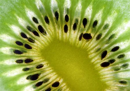 simsearch:400-04922932,k - fine image close up of kiwi background detail Stock Photo - Budget Royalty-Free & Subscription, Code: 400-04053748