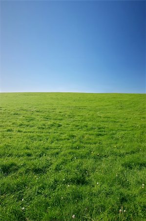 simsearch:400-05712992,k - Beautiful green meadow on a clear summer day - plenty of copy space Photographie de stock - Aubaine LD & Abonnement, Code: 400-04064215