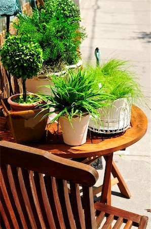 Potted green plants on wooden patio table Stock Photo - Budget Royalty-Free & Subscription, Code: 400-04064749