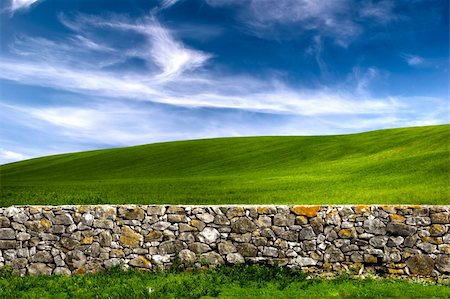 stone walls in meadows - Beautiful green meadow with a old Stone wall Stock Photo - Budget Royalty-Free & Subscription, Code: 400-04064775