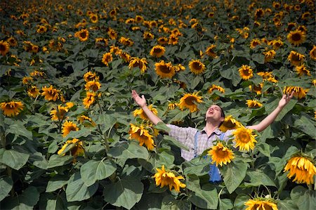 sunflower spain - farmer standing in  a sunflower field with his arms spread out Stock Photo - Budget Royalty-Free & Subscription, Code: 400-04064849