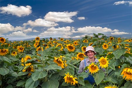 simsearch:400-04064843,k - farmer standing in  a sunflower field Fotografie stock - Microstock e Abbonamento, Codice: 400-04064854