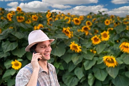 farmer talking with mobile phone picture - farmer standing in front of a sunflower field talking on the phone Stock Photo - Budget Royalty-Free & Subscription, Code: 400-04064851