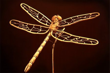 damselfly - Large metal sculpture of a dragonfly Stock Photo - Budget Royalty-Free & Subscription, Code: 400-04064906