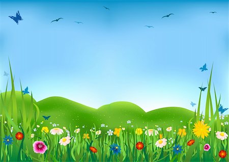 Flowering Meadow - Beautiful flowers and meadow as vector Stock Photo - Budget Royalty-Free & Subscription, Code: 400-04065428