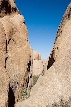 simsearch:400-04066006,k - Joshua Tree National Park is located in south-eastern California. Photographie de stock - Aubaine LD & Abonnement, Code: 400-04066017