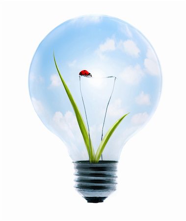 simsearch:400-04382003,k - Clean energy, a light bulb with a bright sky, grass, and lady-bug. Foto de stock - Super Valor sin royalties y Suscripción, Código: 400-04066297